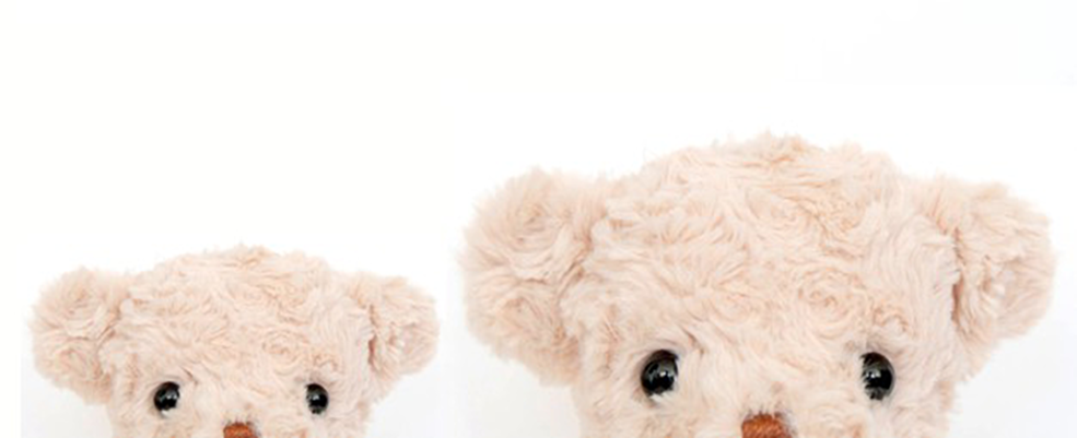 Um par de urso fofos em um fundo branco