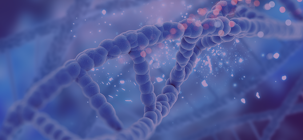 DNA de perto
