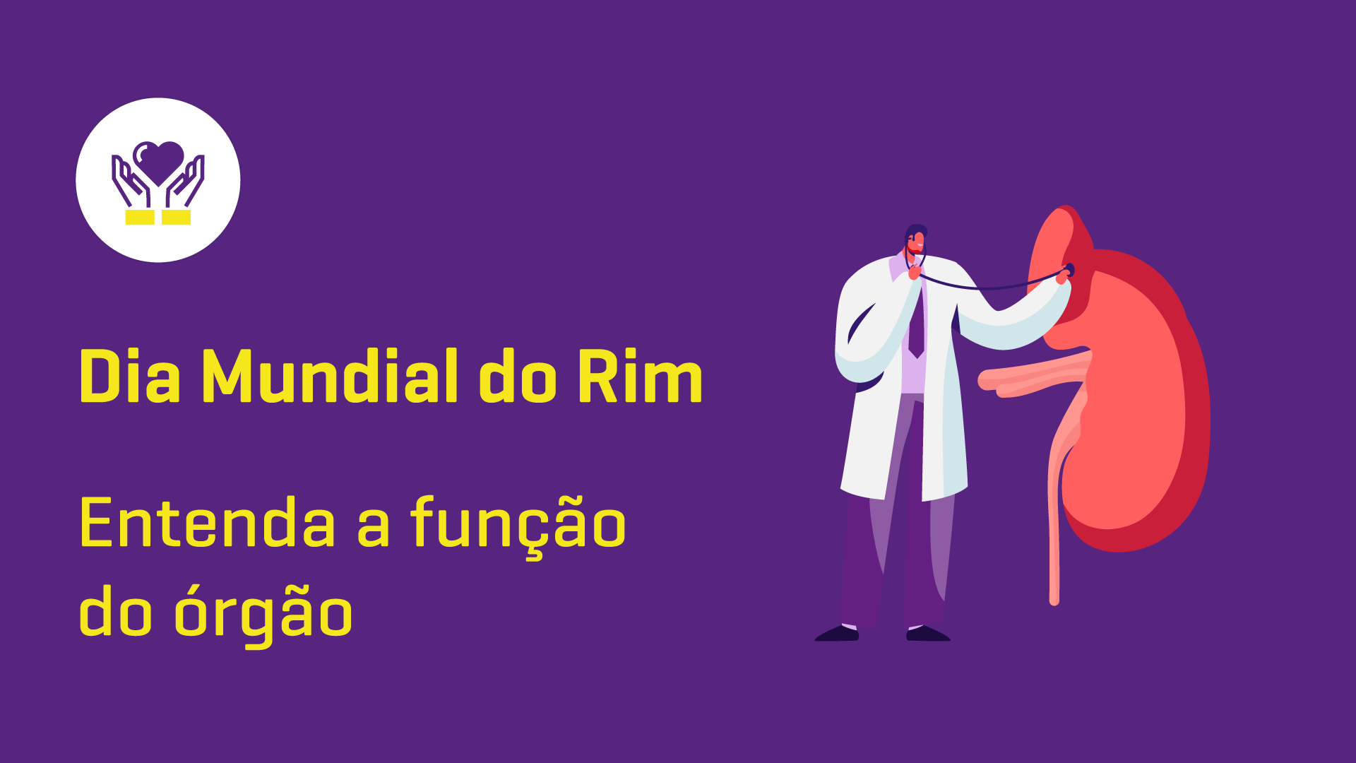 Dia Mundial do Rim: entenda a função do órgão